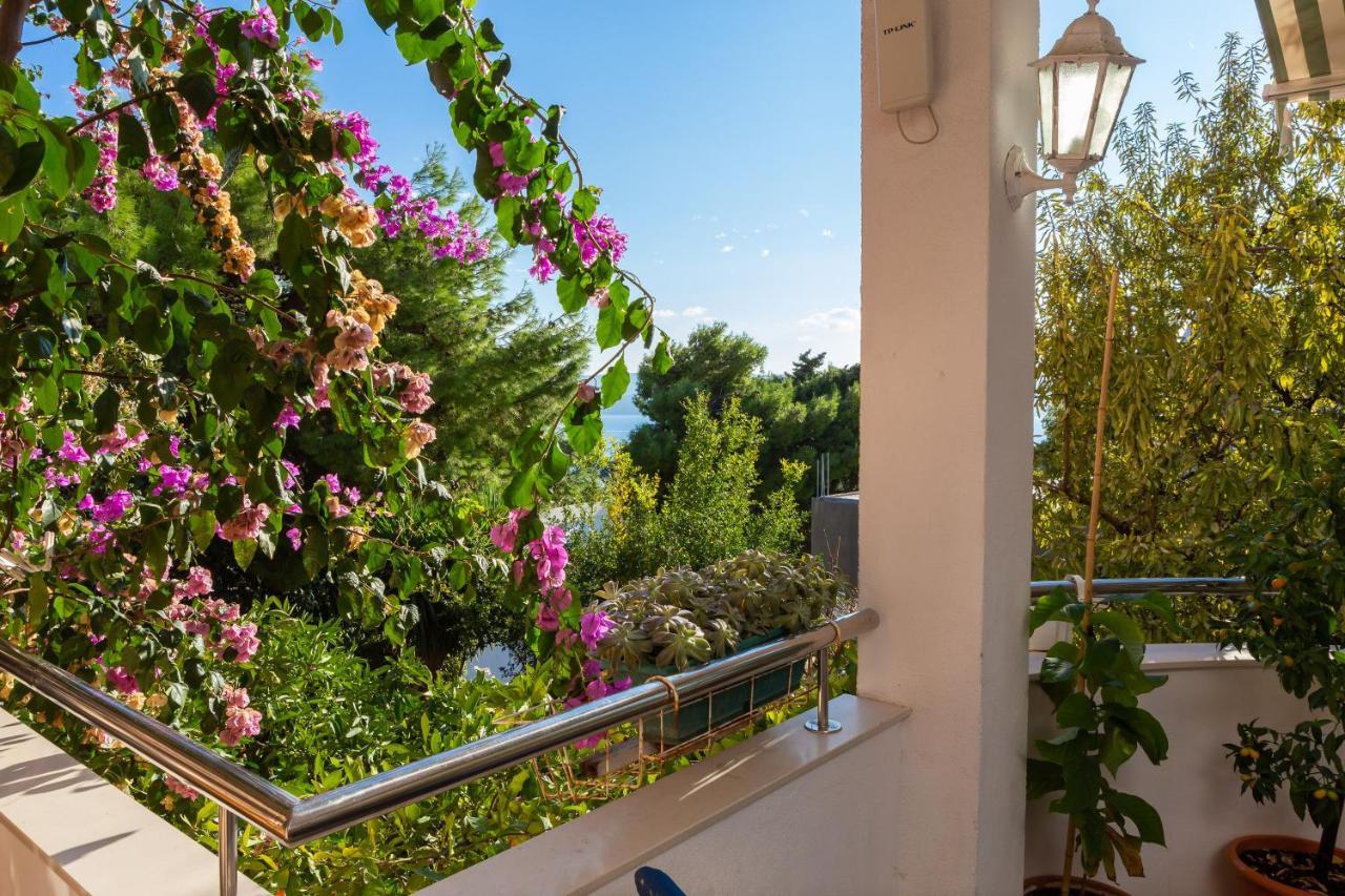 Villa Marko Stanici Екстер'єр фото